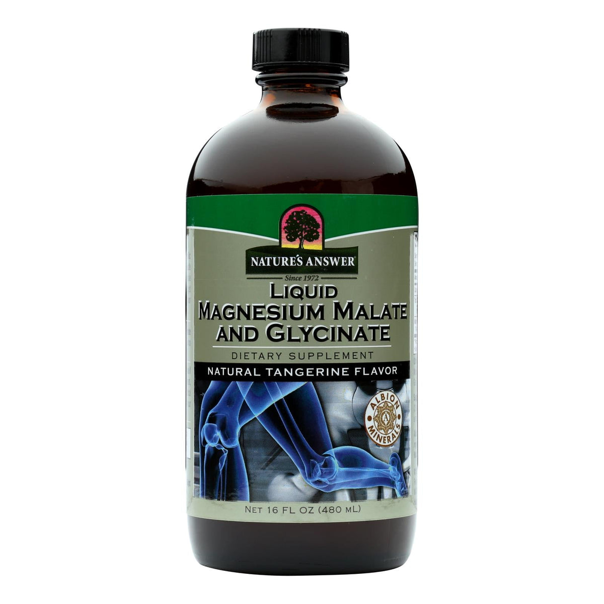 Nature's Answer Magnesium Liquid 16 Fl Oz