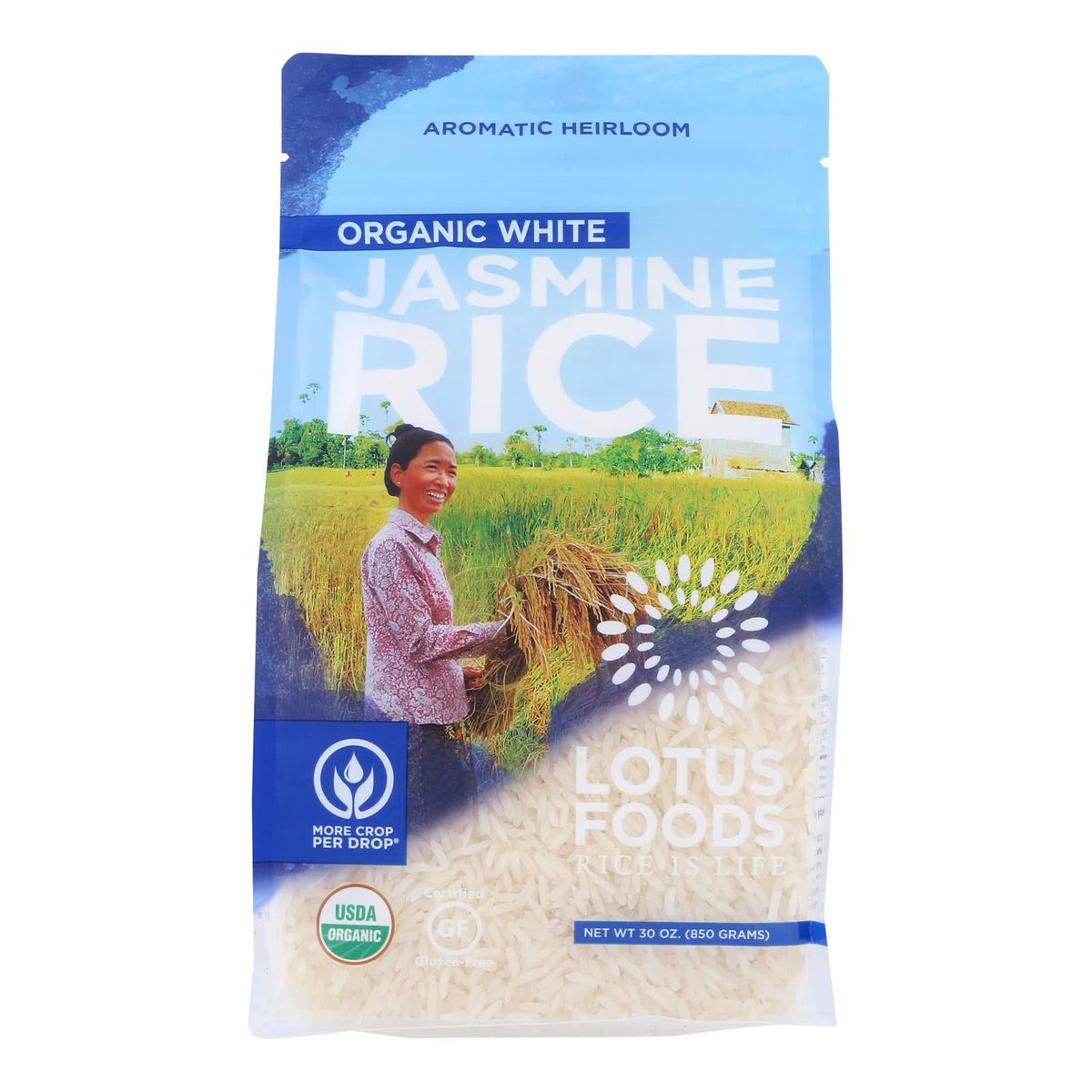 Lotus Foods Organic Jasmine White Rice, 6-Pack (30 oz Each)