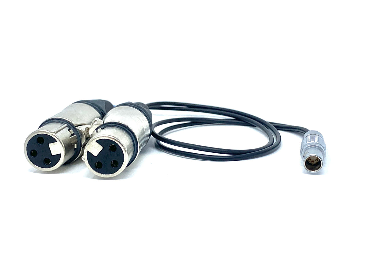 12" Dual XLRF to 6 pin Lemo Cable