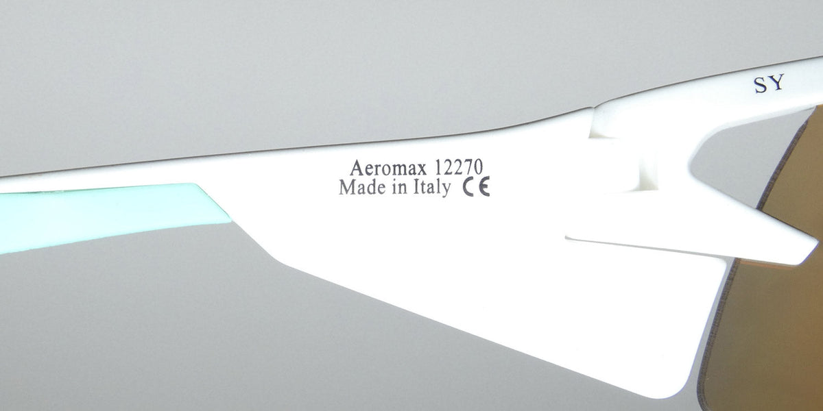 Bolle Aeromax Sunglasses