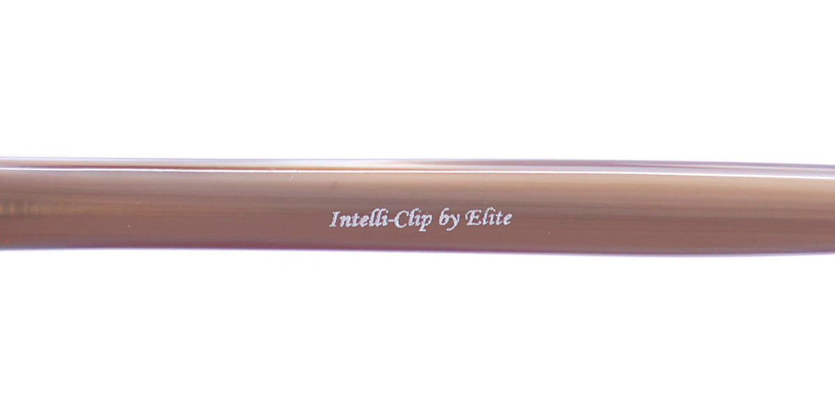 Europa Eyewear Intelli Clip 743 Eyeglasses