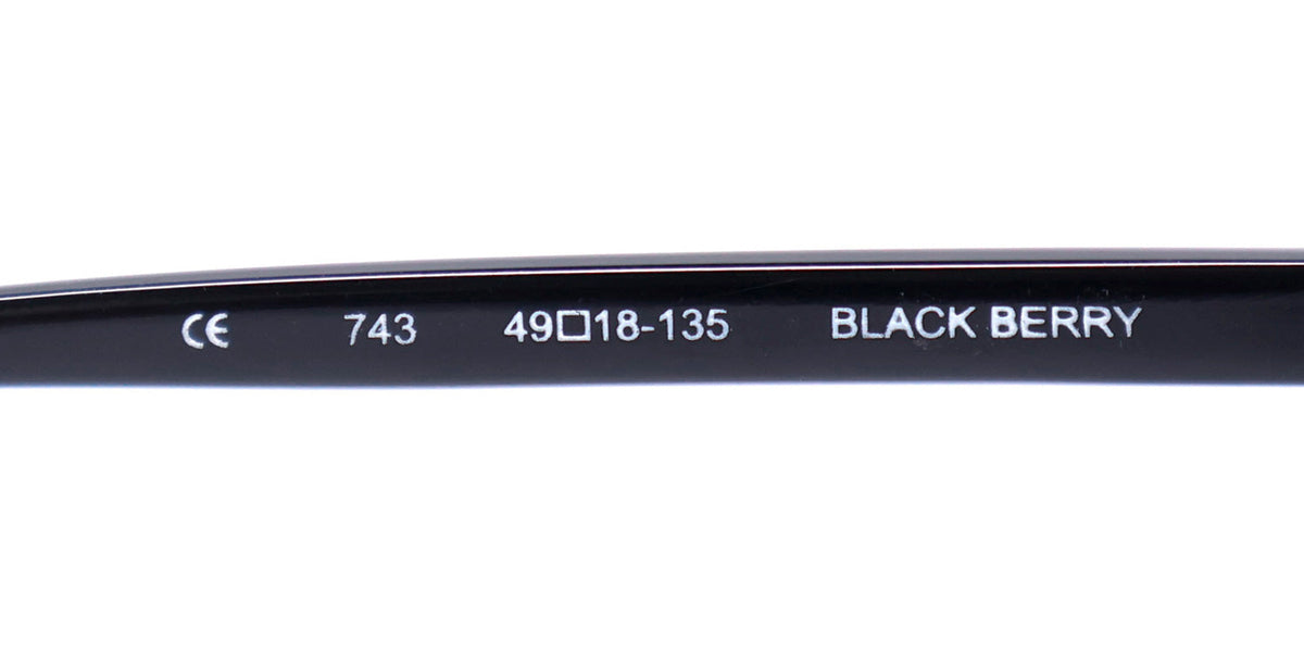Elite Eyewear Intelli Clip 743 Eyeglasses