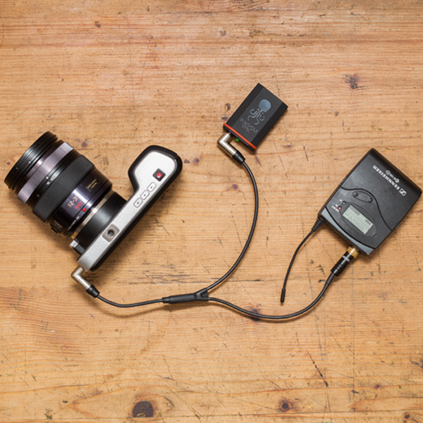 Tentacle Sync C16 Tentacle & Bodypack Receiver to Camera Y-Cable 8"