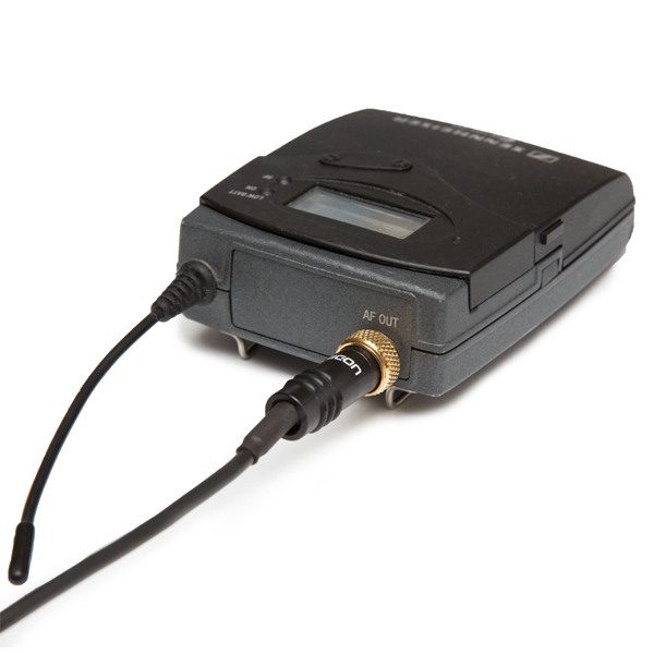 Tentacle Sync C16 Tentacle & Bodypack Receiver to Camera Y-Cable 8"