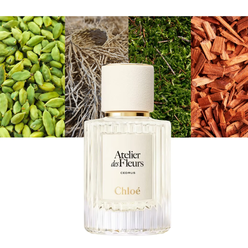 Chloe Atelier des Fleurs Cedrus EDP