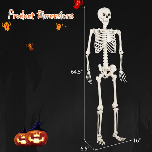 567346291
