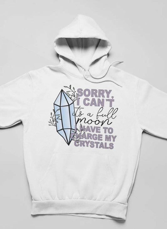 I Have To Charge My Crystals Hoodie