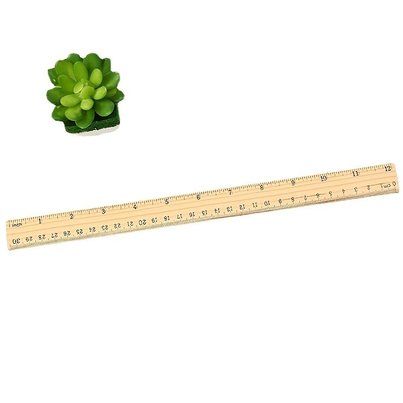 449565581