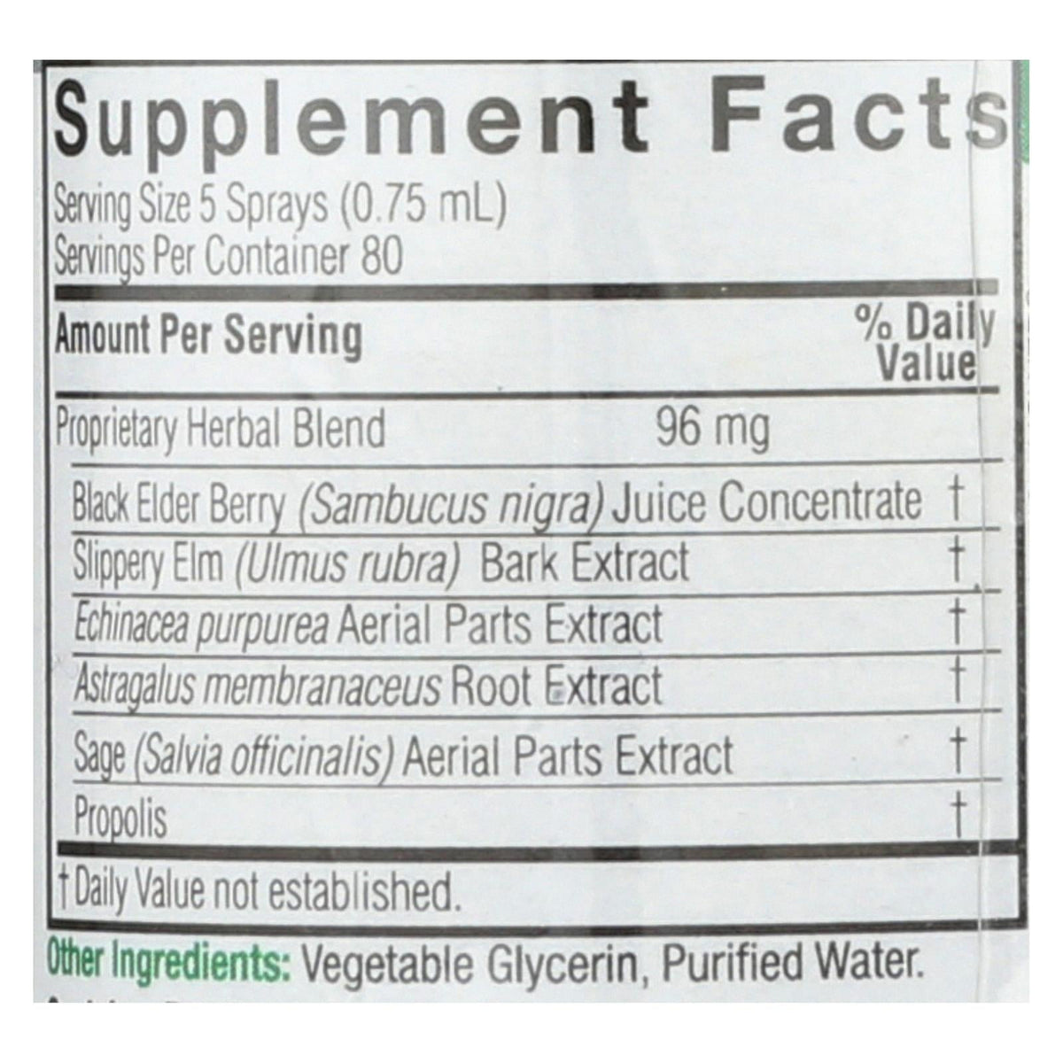 Sambucus Nigra Black Elderberry Extract Spray 2oz