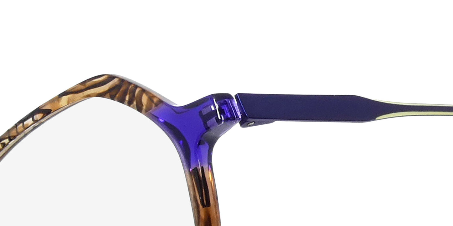 Morel Nomad 40203n Eyeglasses