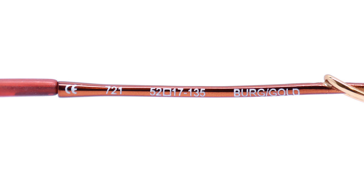 Elite Eyewear Intelli Clip 721 Eyeglasses