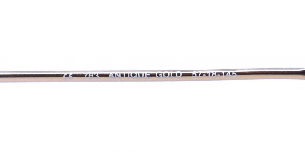 Elite Eyewear Intelli Clip 763 Eyeglasses