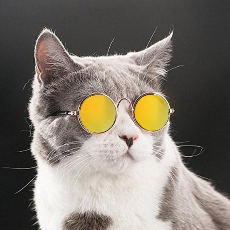 Purrfect Shades – Vintage Round Cool Cat & Dog Sunglasses for Stylish Pets
