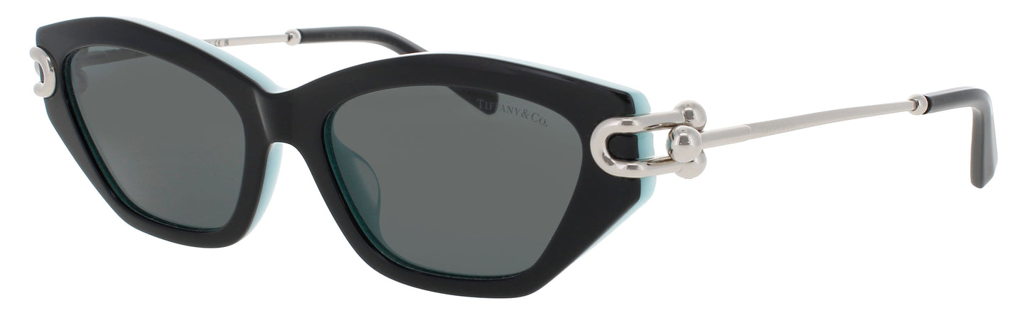 Tiffany & Co Tf4231u Sunglasses