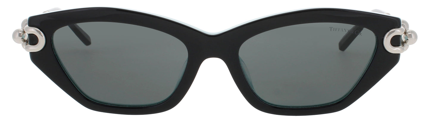 Tiffany & Co Tf4231u Sunglasses