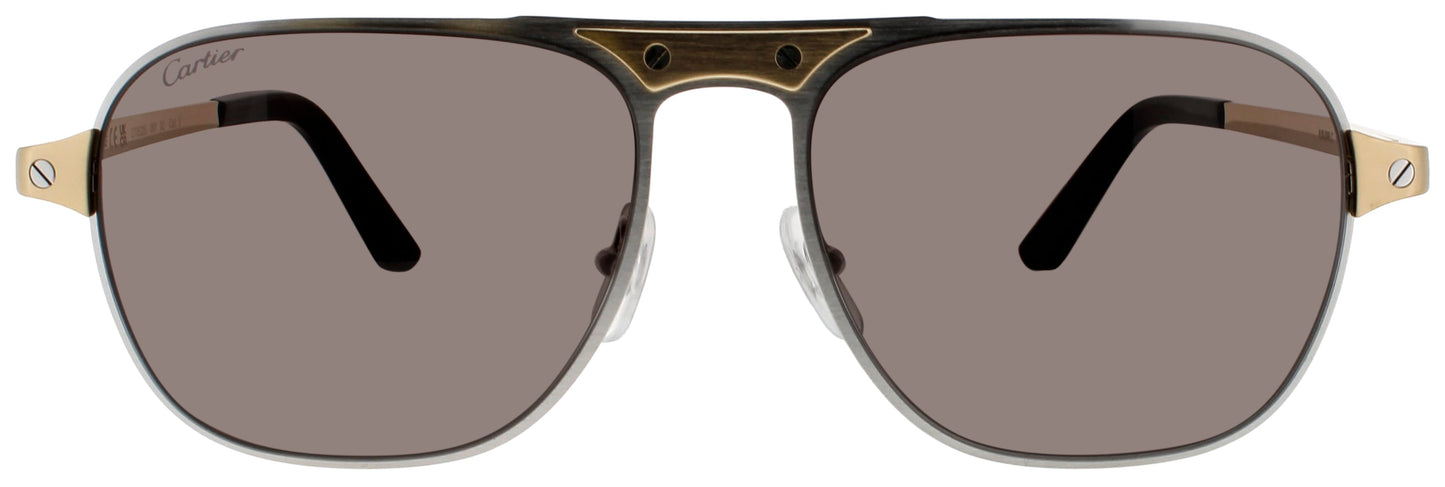 Cartier Ct0532s Sunglasses