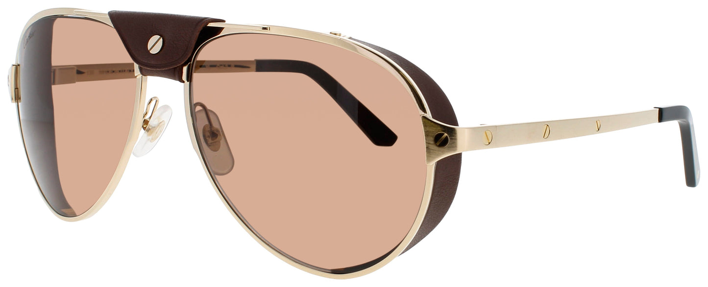 Cartier Ct0296s Sunglasses