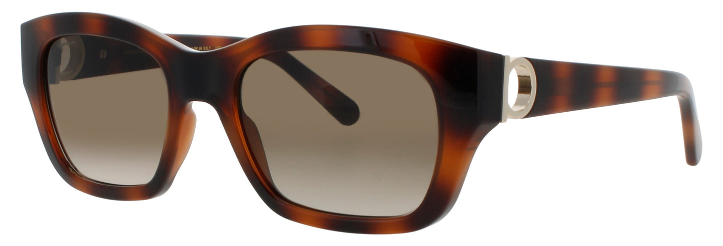 Salvatore Ferragamo Sf1012s Sunglasses