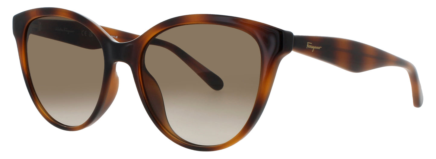 Salvatore Ferragamo Sf1073s Sunglasses