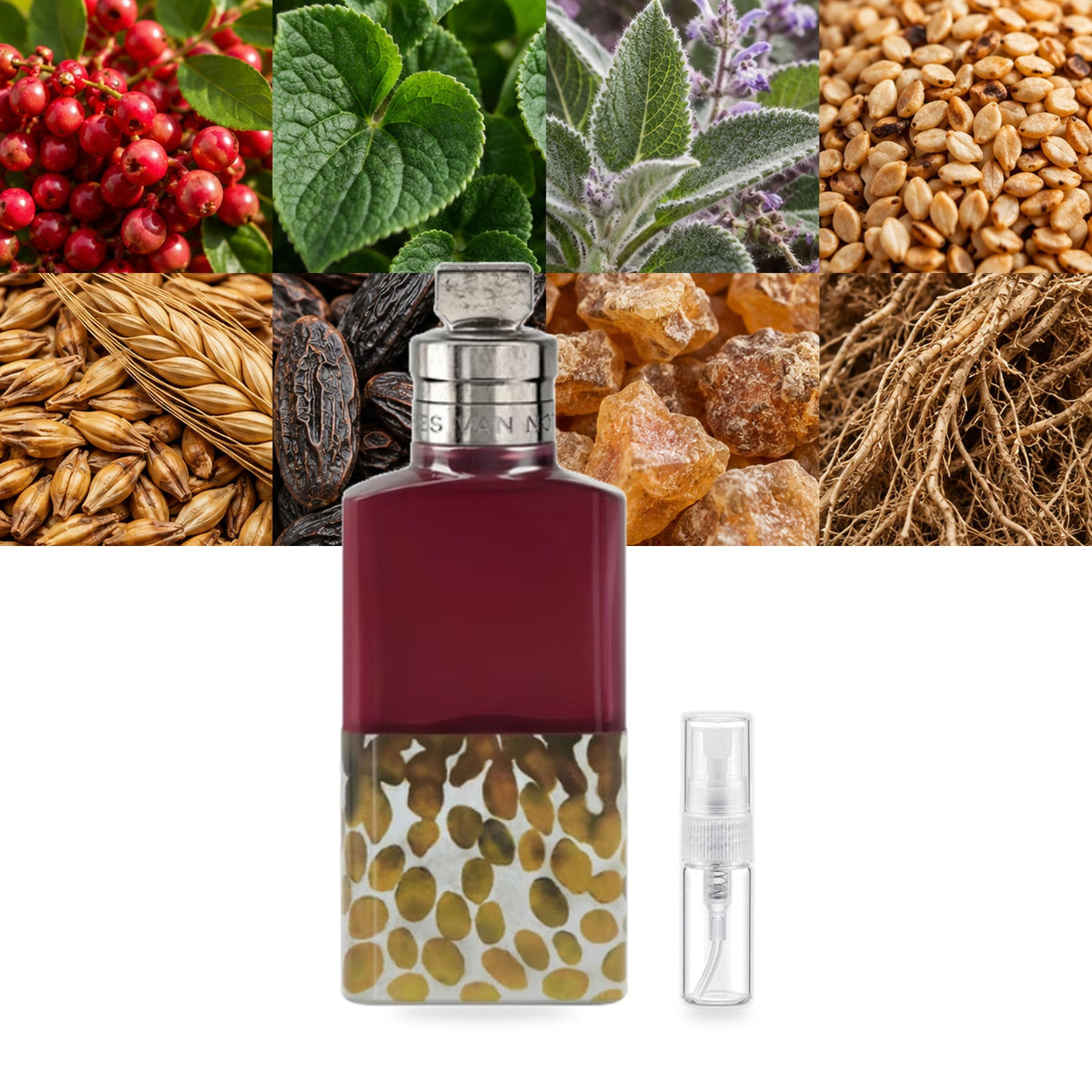 Velvet Violet Dries Van Noten EDP