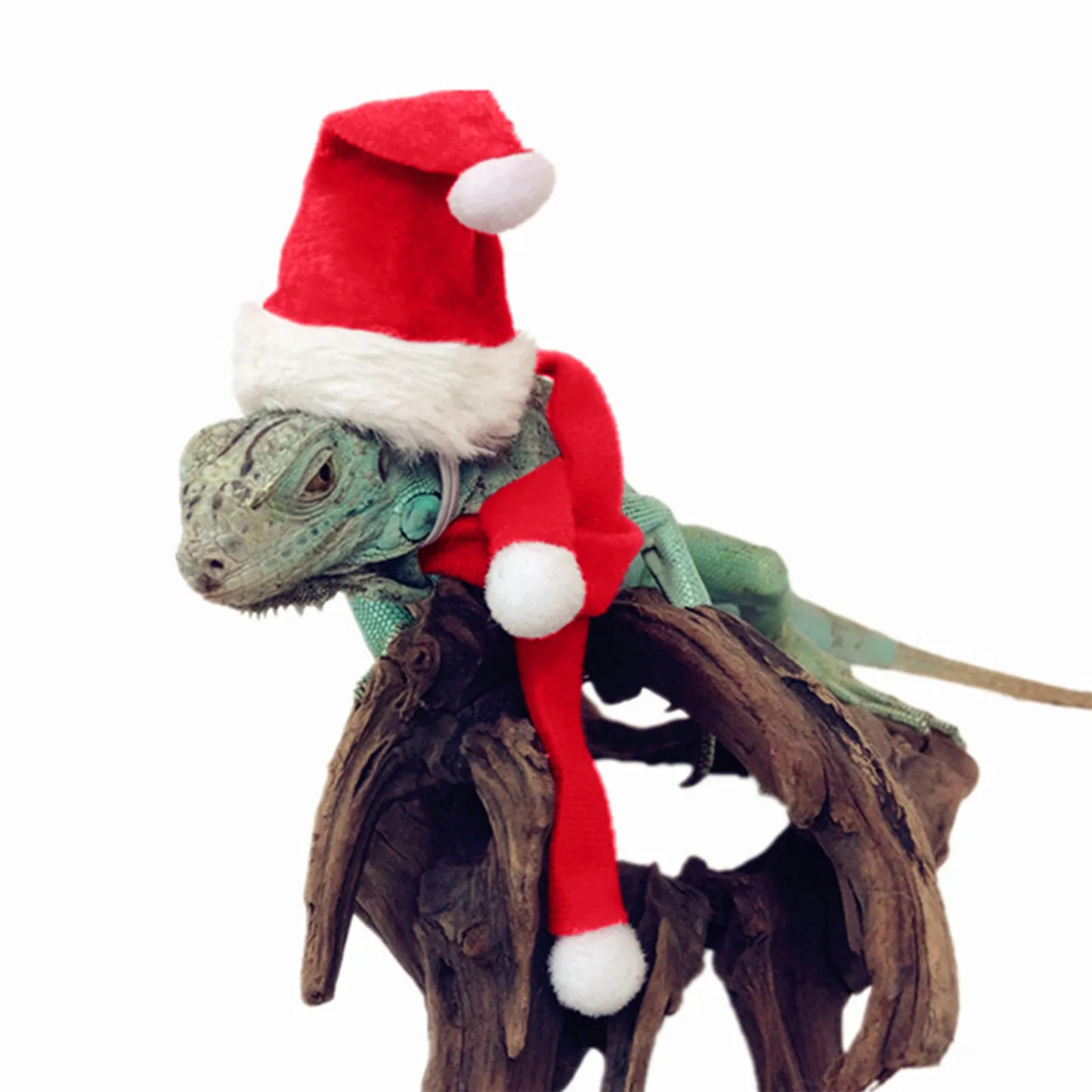 Cute Christmas Hat & Scarf Set for Pets - Perfect for Lizards, Chickens, and Guinea Pigs