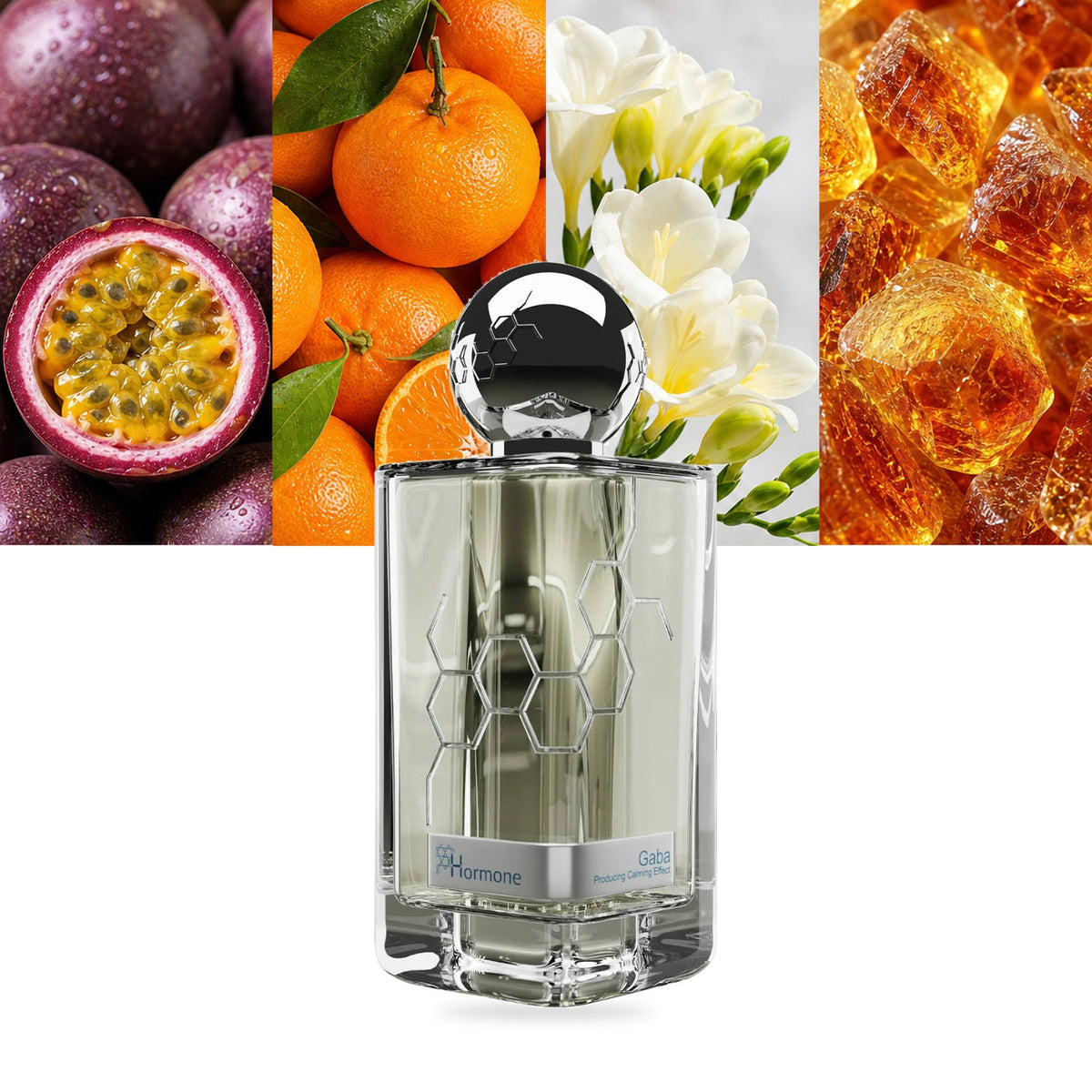 Hormone Paris This is not GABA Parfum