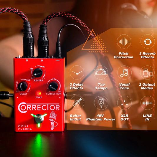 🎸🎤 Flamma FV01 Vocal Weapon: Pitch Perfection for Stage Wreckers