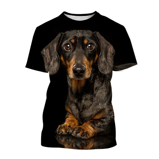 Dachshund 3D printed quick-dry t-shirt – tactical-grade casual tee for men & women XXL to 6XL ⚡🐶