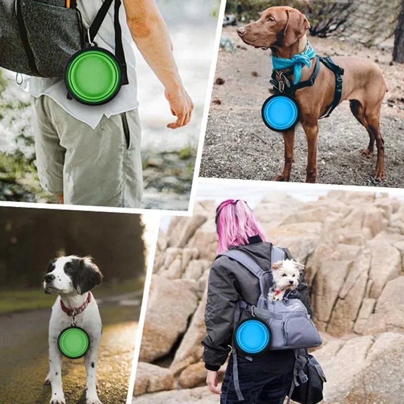 Tour Goblin Collapse-Bowl – Lizard Vigilante Folding Silicone Travel Feeder For Dogs, Cats & Road-Trip Renegades