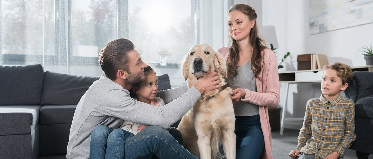 Razor Riot 3D Floating Electric Shaver – Stage-Grade Grooming Machine