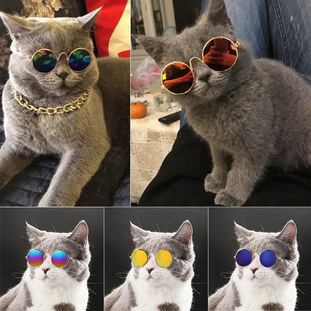 Purrfect Shades – Vintage Round Cool Cat & Dog Sunglasses for Stylish Pets