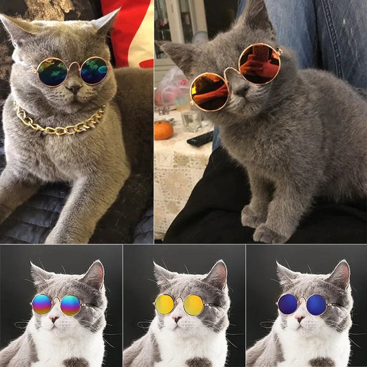 Purrfect Shades – Vintage Round Cool Cat & Dog Sunglasses for Stylish Pets