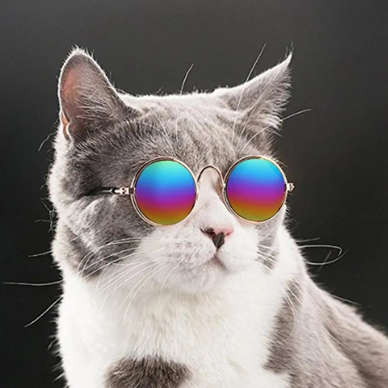 Purrfect Shades – Vintage Round Cool Cat & Dog Sunglasses for Stylish Pets