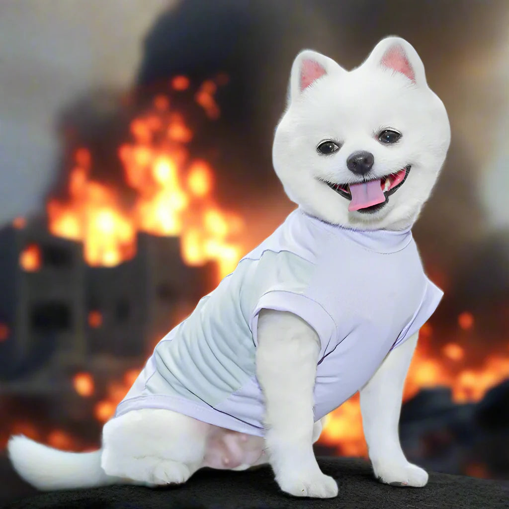 “Breezy Pup Swagger” Summer Cooling Hoodie – Chill Vibes Only for Your Furry Bestie