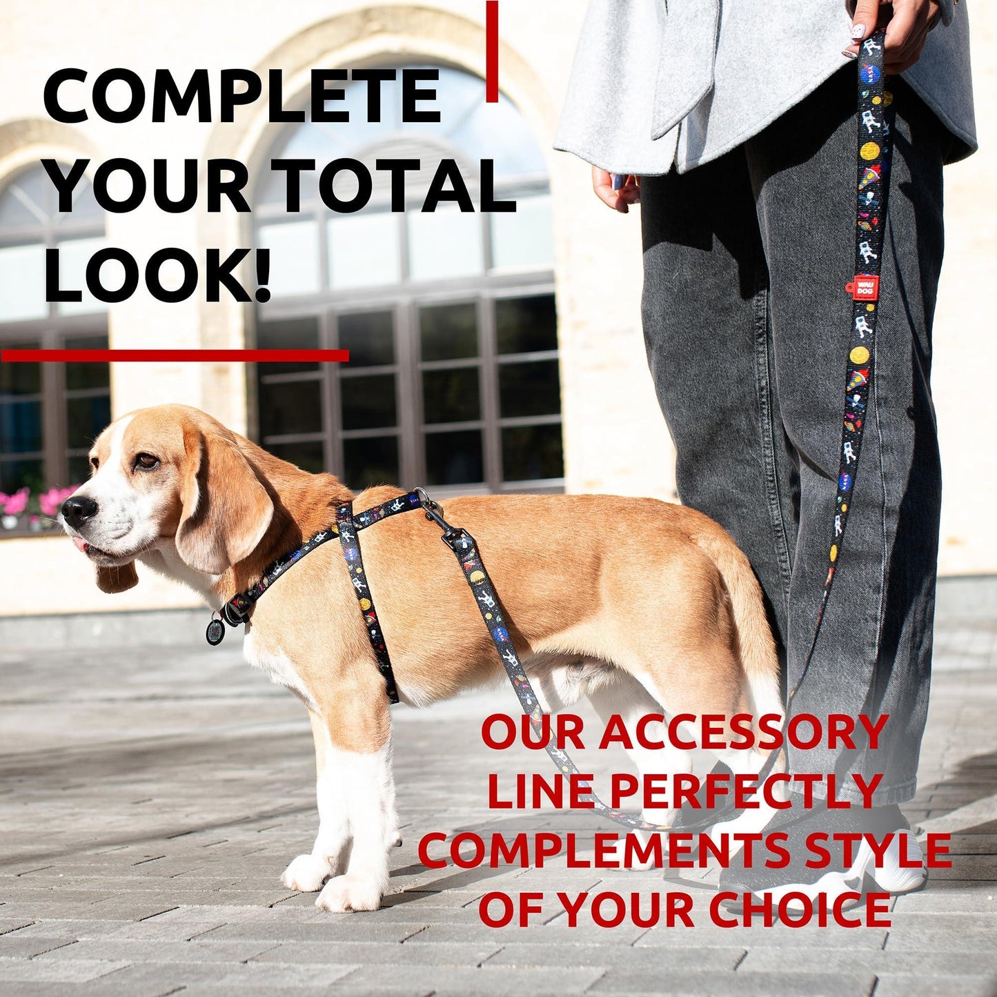 Nylon Dog Leash for Small Dogs and Medium Dogs 4 Ft x 4/5 inch Wide Strong Dog Leash Heavy Duty Nasa Pattern