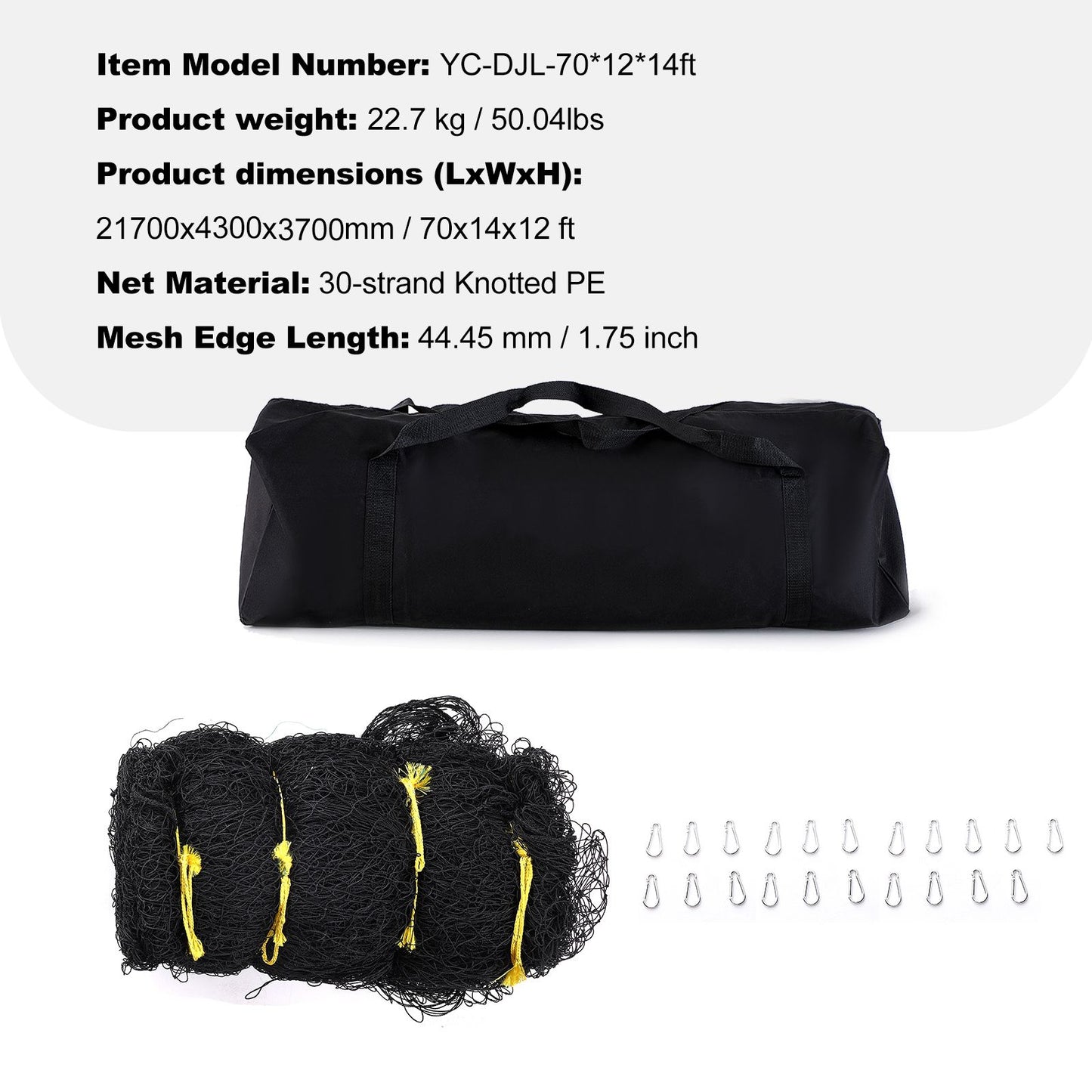 529850081