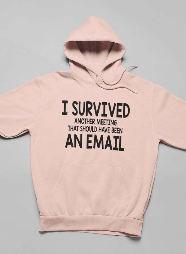 I Survived Another Meeting Hoodie