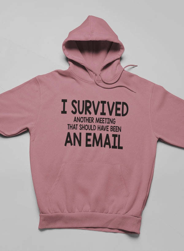 I Survived Another Meeting Hoodie