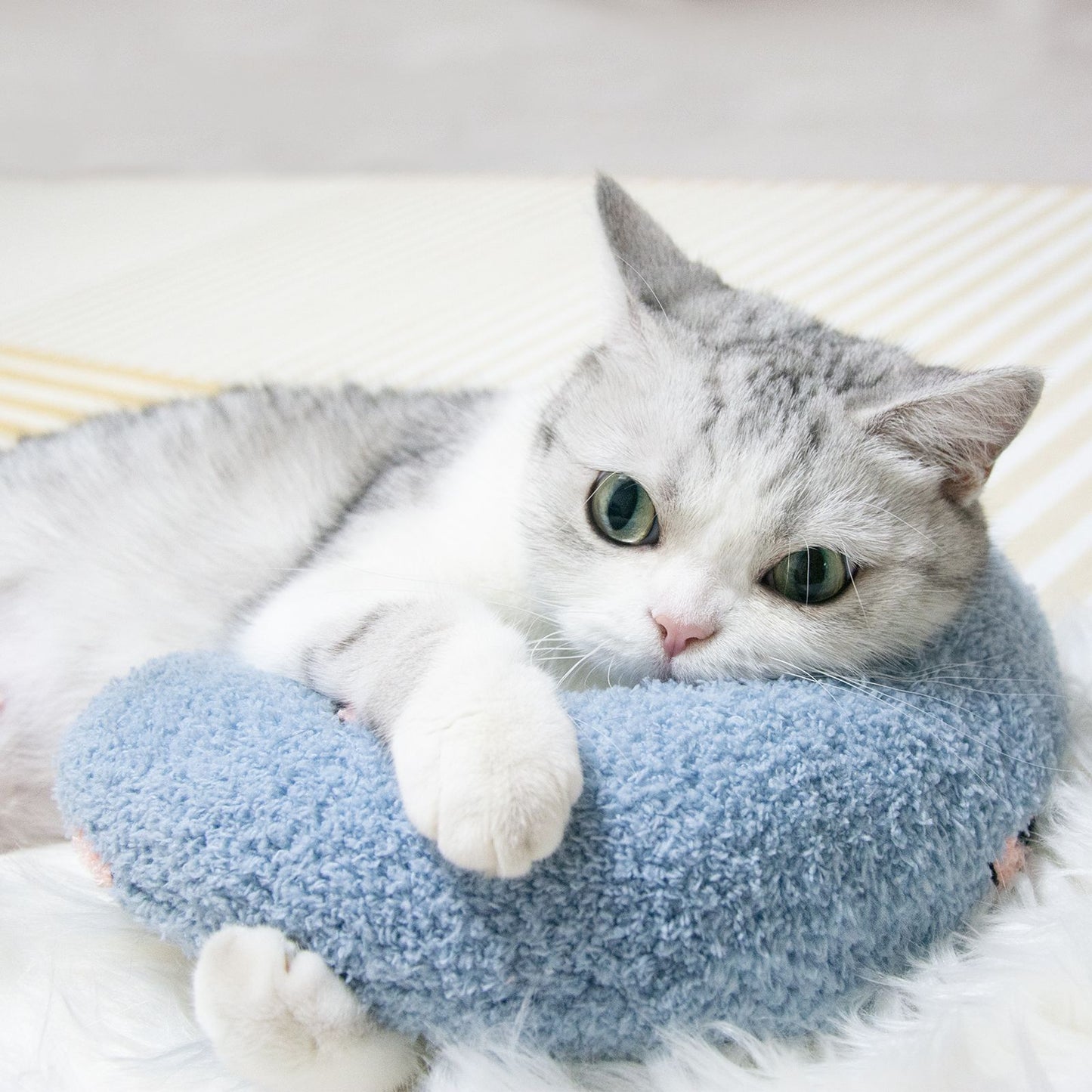 Cat Pillow, Small Pillow for Cat, Cat Blankets for Indoor, Pet Toy, Small Banana Donut Bed for Pets, Little Pillow for Cats No Heating Pad, Real Littles Fluffy Kittens Accessories for Pet Calming