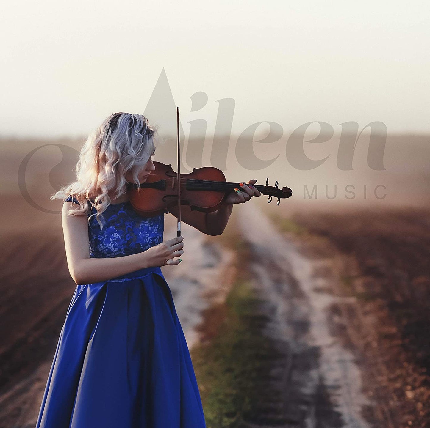 Aileen PREMIUM BEGINNER Series Violin Outfit - 4/4 Full Size Solid Wood Ebony Fitted for Kids Students;  Teachers Approved