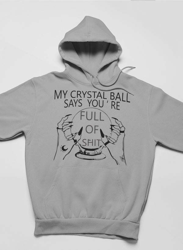 My Crystal Ball Says Hoodie