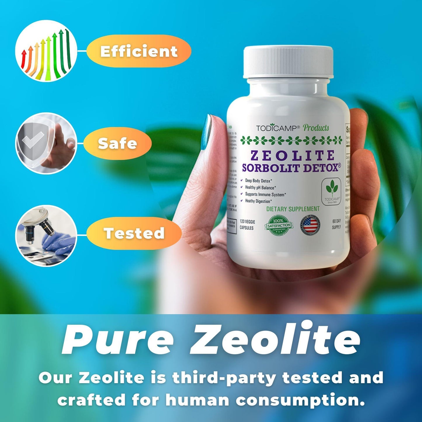 Zeolite Detox 240 Capsules Zeolite Capsules Sorbolit Ultra FINE 1-2 µm Zeolite Clinoptilolite Powder 95% 3X Activated Zeolite Supplement 4 Months Supply