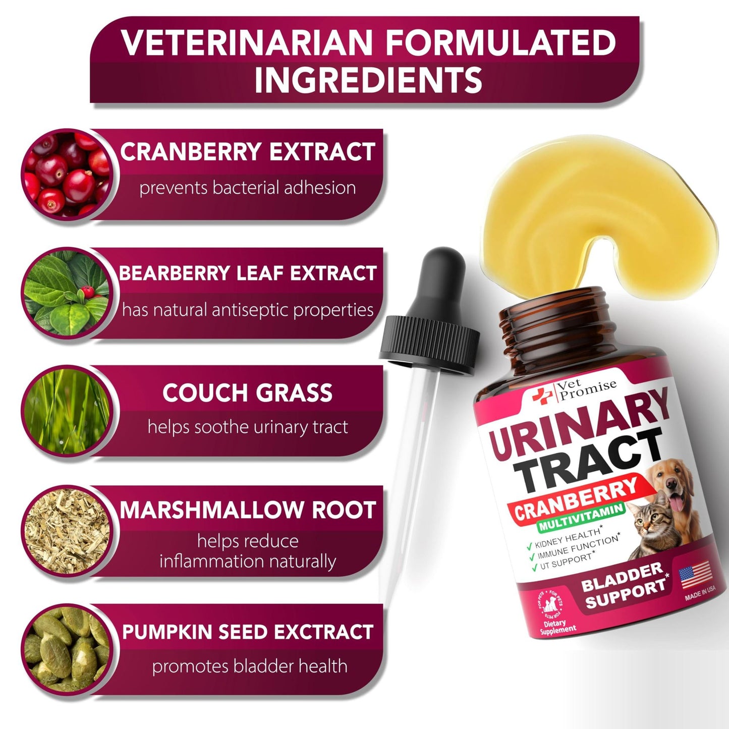 Natural Cranberry UTI Support for Cats & Dogs Premium Kidney Bladder Health Formula Vet Created Multivitamin USA Made