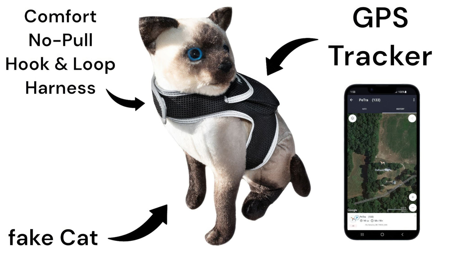 Portable GSM GPS Puppy Tracking Collar Waterproof Rechargeable Tracker Size:XS