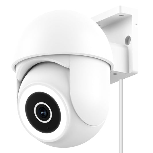 540800491