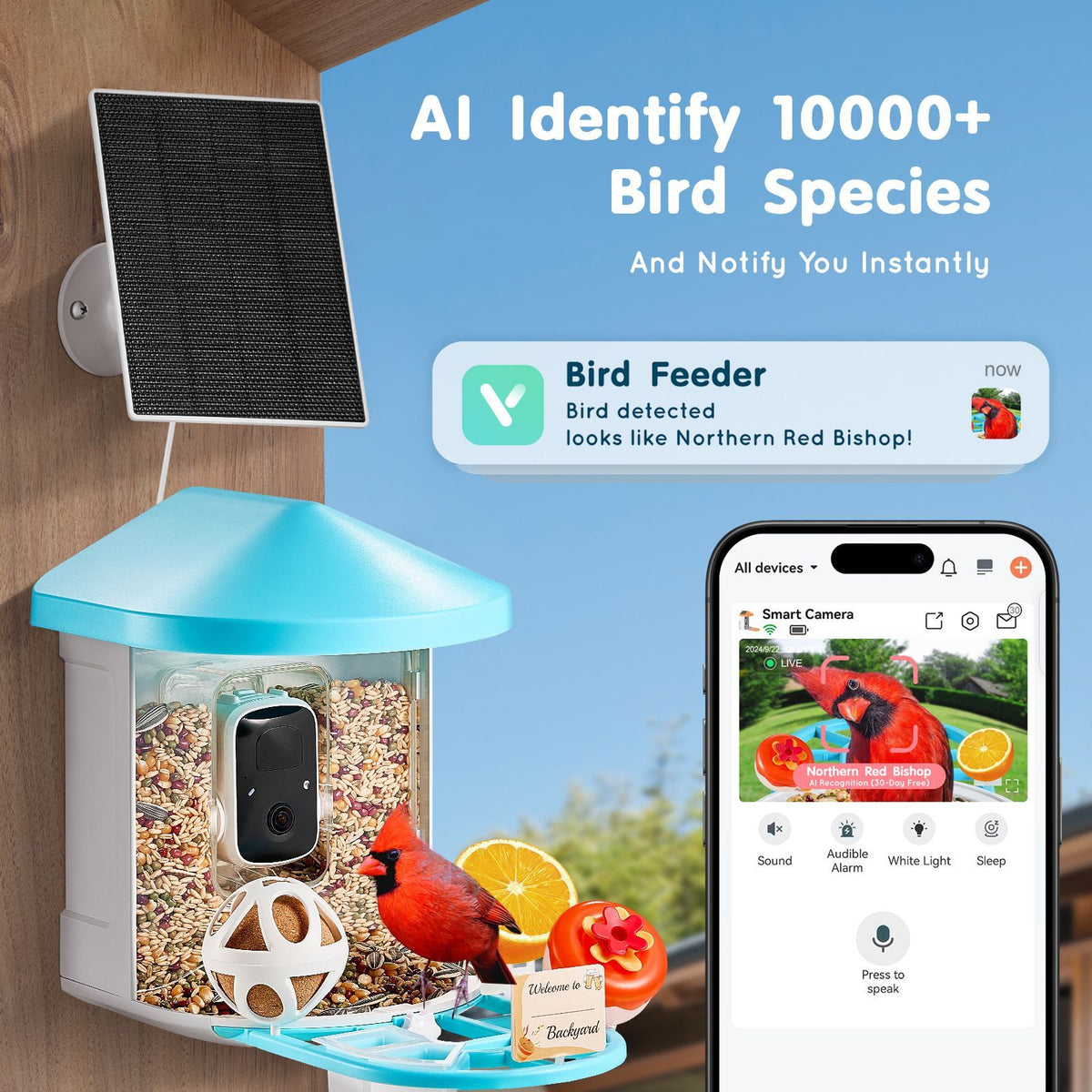 563802931