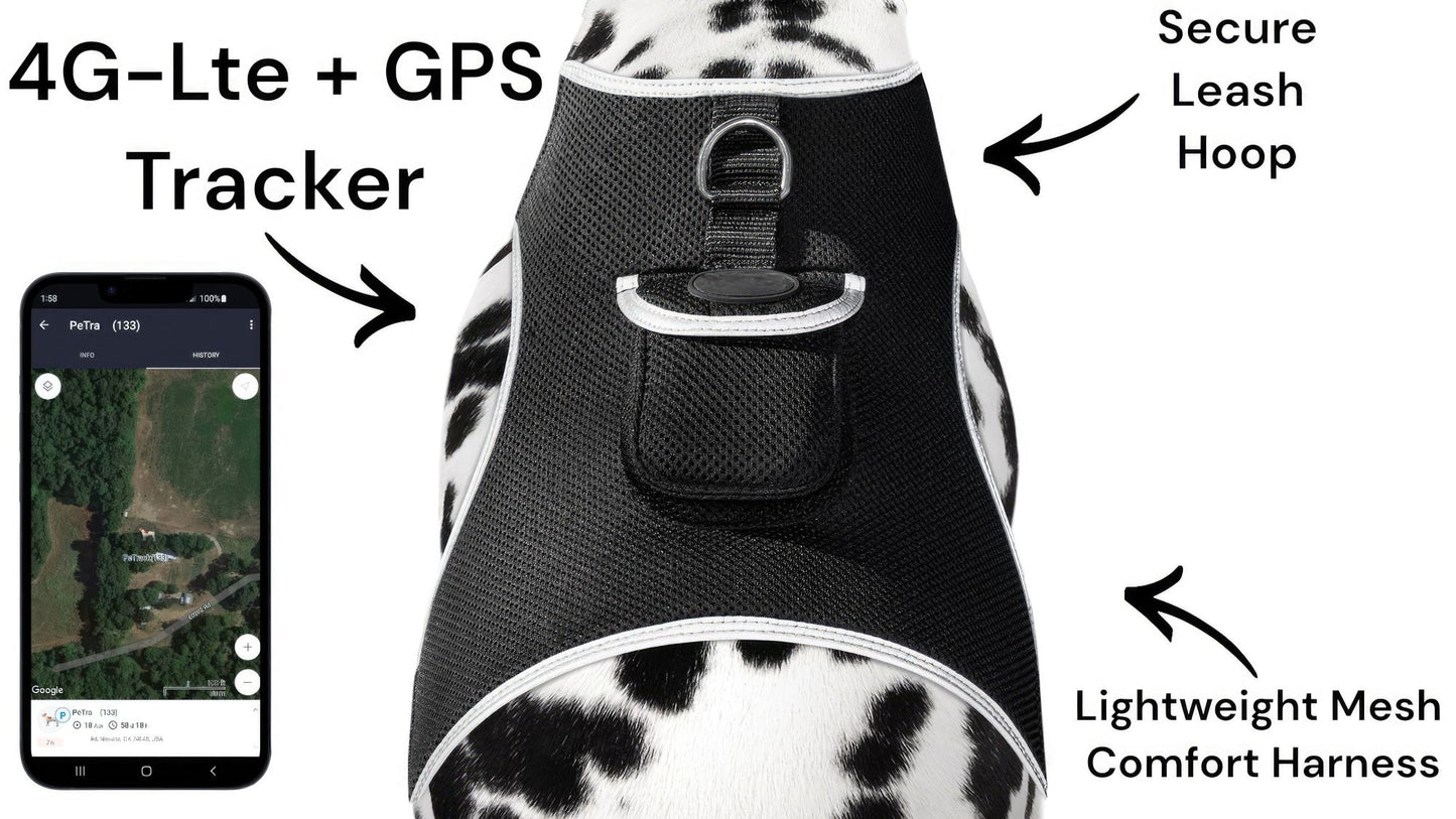 Portable GSM GPS Puppy Tracking Collar Waterproof Rechargeable Tracker Size:XS