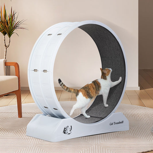 Cat Running Wheel, Small Animal Exercise Treadmill w/ Locking Mechanism, Carpet Runway, Cat Teaser Toy, Indoor, White Gray