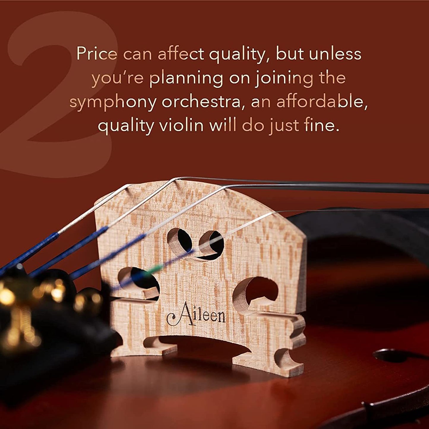 Aileen PREMIUM BEGINNER Series Violin Outfit - 4/4 Full Size Solid Wood Ebony Fitted for Kids Students;  Teachers Approved