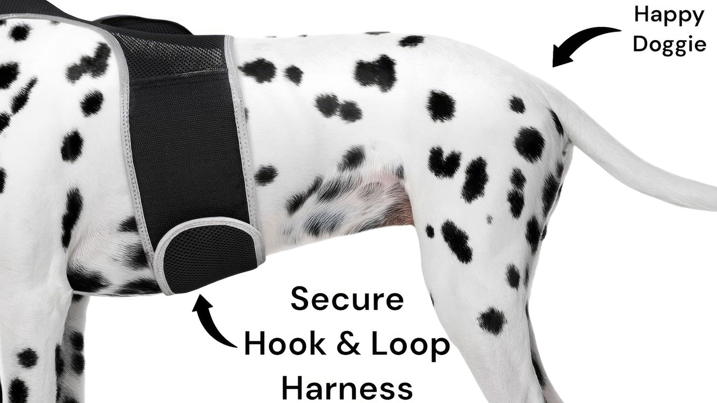 Portable GPS Tracking for Dog Realtime Waterproof Collar Pet Tracker Size:XS